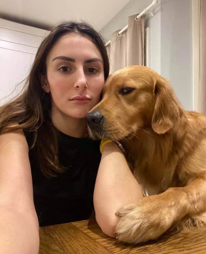 のインスタグラム：「“My dog doesn’t trust you” - Want to get featured like them? Join “The Barked Club” on FACEBOOK and post something now! 👉 barked.com - 📷 @hugoandursula - #TheBarkedClub #barked #dog #doggo #GoldenRetriever」