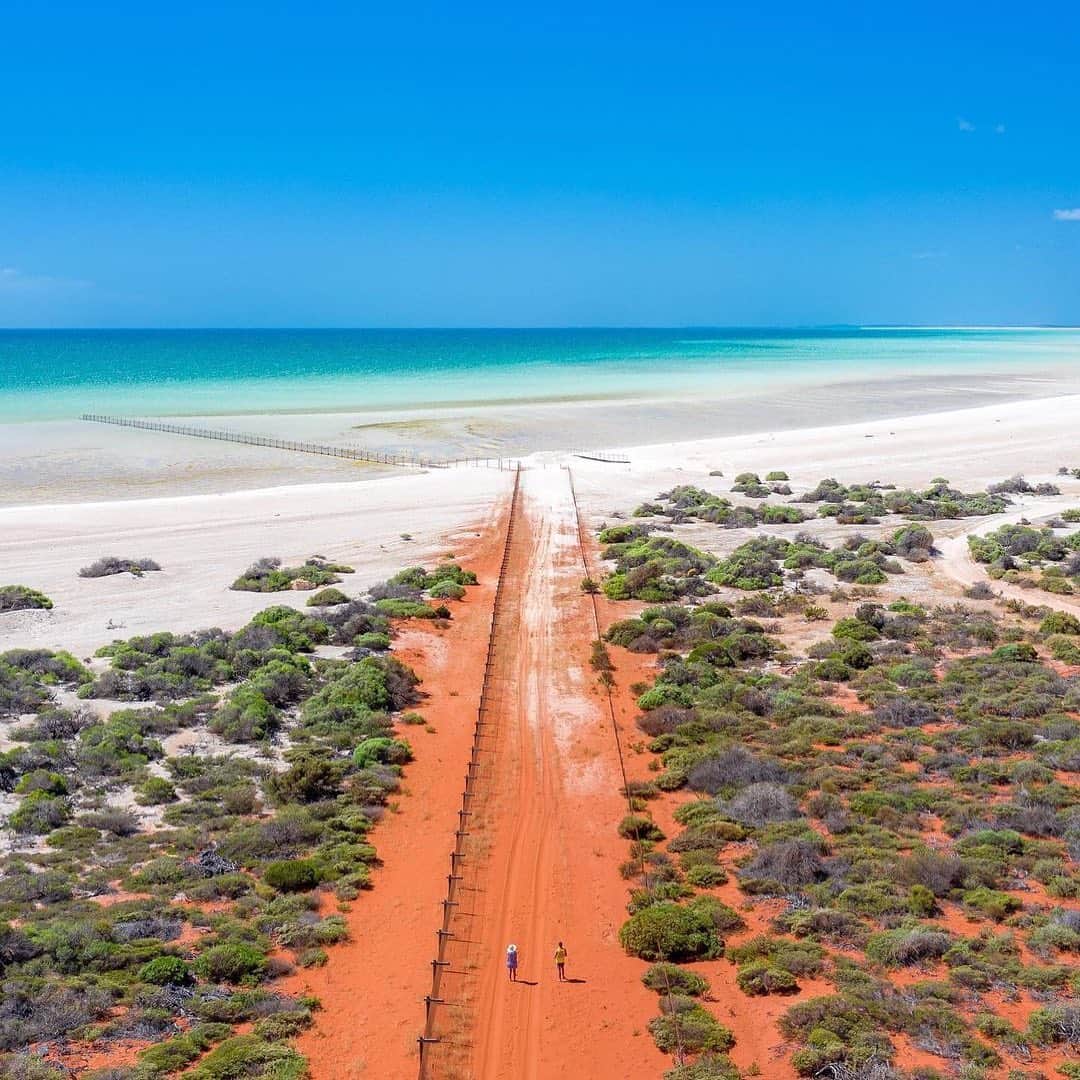 Australiaさんのインスタグラム写真 - (AustraliaInstagram)「The contrast between the western desert and the Indian ocean is something that never stops being awe-inspiring 🙌 This beautiful scene was captured by @mkz.imagery at #ShellBeach on @australiascoralcoast. What looks like sand is actually billions of tiny shells 🐚 up to 10 metres deep and stretching for over 70 kilometres. Pretty amazing, huh? This picturesque beach is located in @westernaustralia in the #SharkBayWorldHeritageArea and the water is super salty, so all you have to do is lie back and float around in pure serenity. #seeaustralia #holidayherethisyear #thisisWA #australiascoralcoast」1月3日 4時08分 - australia