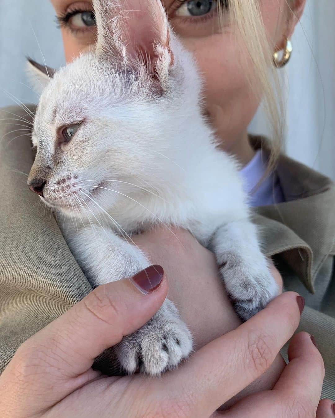 アレクサ・ロジーのインスタグラム：「Ruth dump 🐱💜」