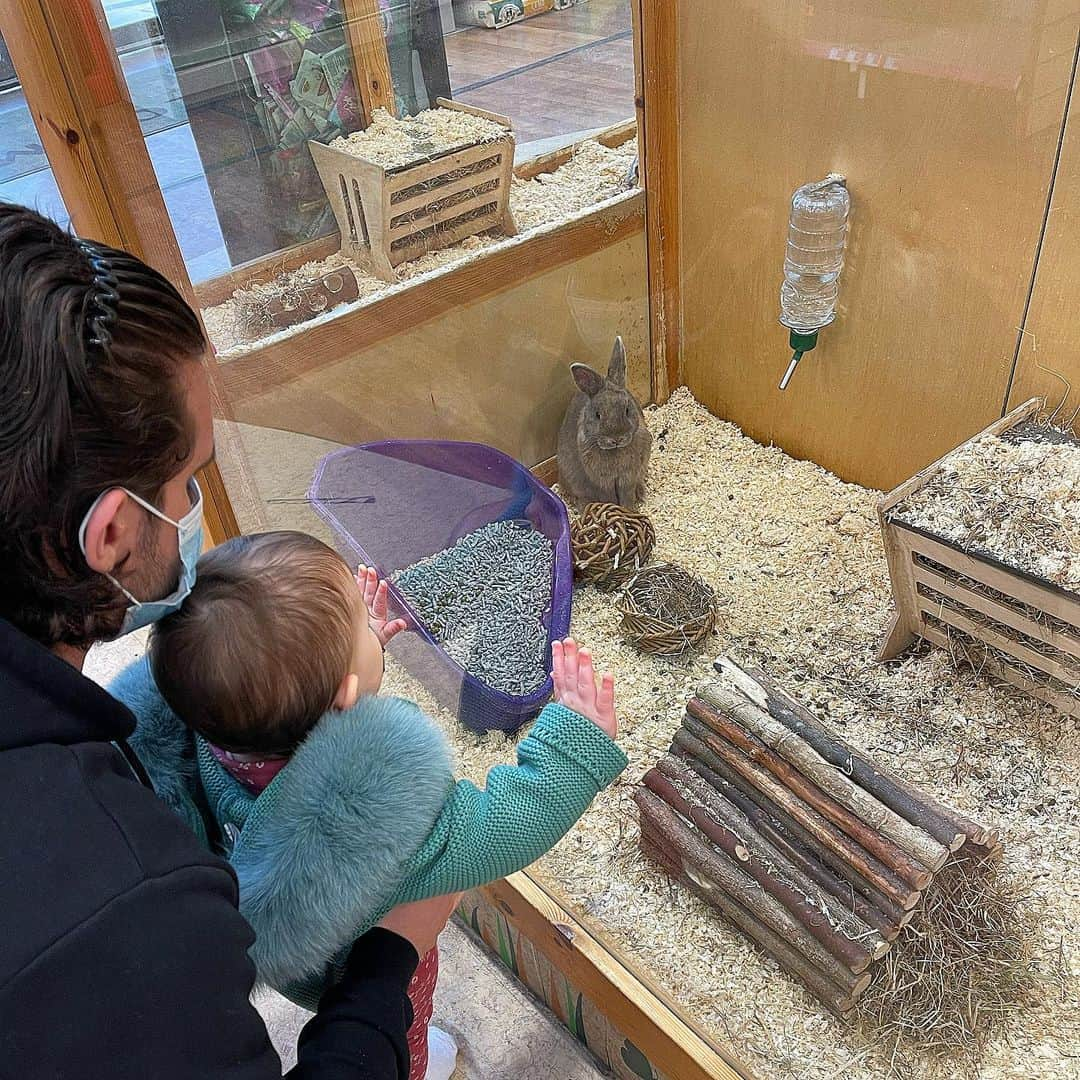 GazGShoreさんのインスタグラム写真 - (GazGShoreInstagram)「About as excited as it gets... a trip to pets at home... 👍🏻 poor prim I feel like we haven’t really done anything with her the first year of her life really hope we can start doing some fun stuff with her and Chester soon 🤞🏻 until then keep your self busy as possible even if it’s little trips out to a pet store haha keeps you going 💙」1月3日 6時42分 - gazbeadle