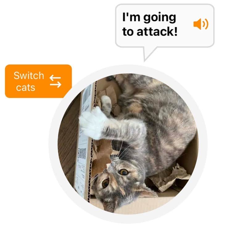 ジェームズ・ガンのインスタグラム：「I’m trying the MeowTalk app to see if it can translate what my cat #EmilyMonster is saying,  because she always only sounds pissed off, even when she’s being sweet. Seems I’m not the only one who think so since these are this and “I’m in pain” are the only two translations I ever get! 😂#HappyCaturday!」