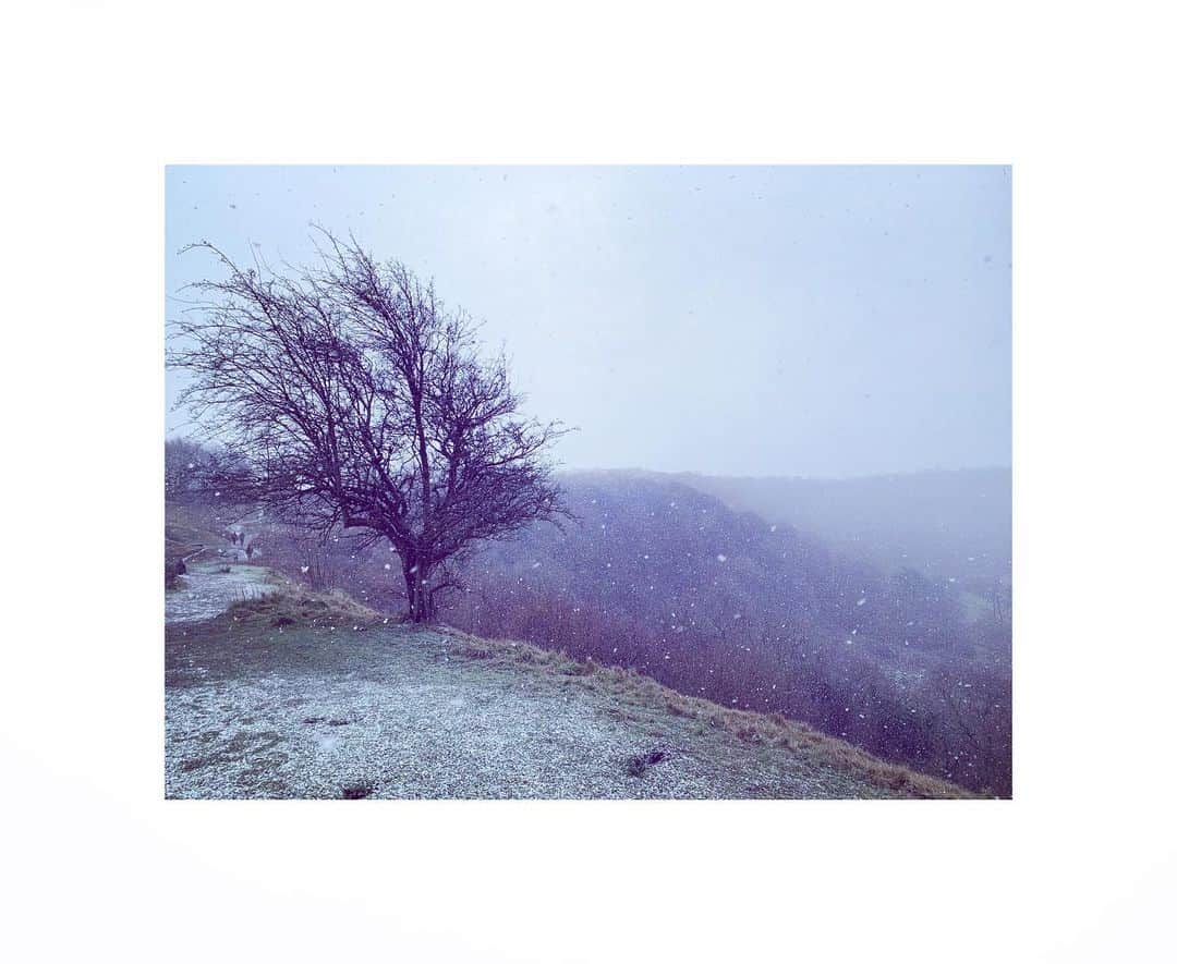 のインスタグラム：「Exhale... surrender... trust...  . . . . #snow #mothernature #elements #winter #cold #january #surrender #breathe #trust」