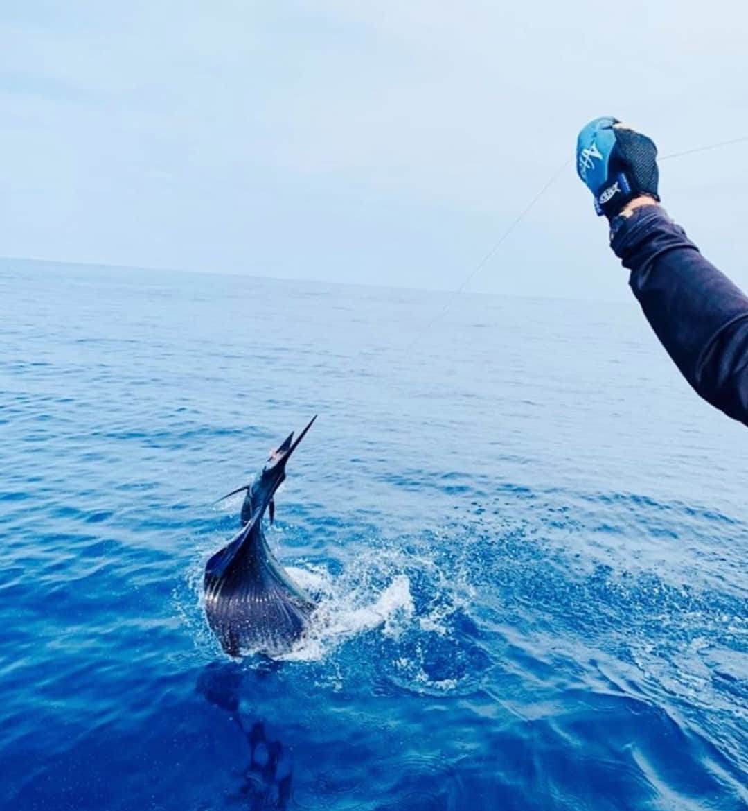 Costa Sunglassesのインスタグラム：「Taking the lead. 📷: @casaviejalodge #SeeWhatsOutThere #BornOnTheWater」