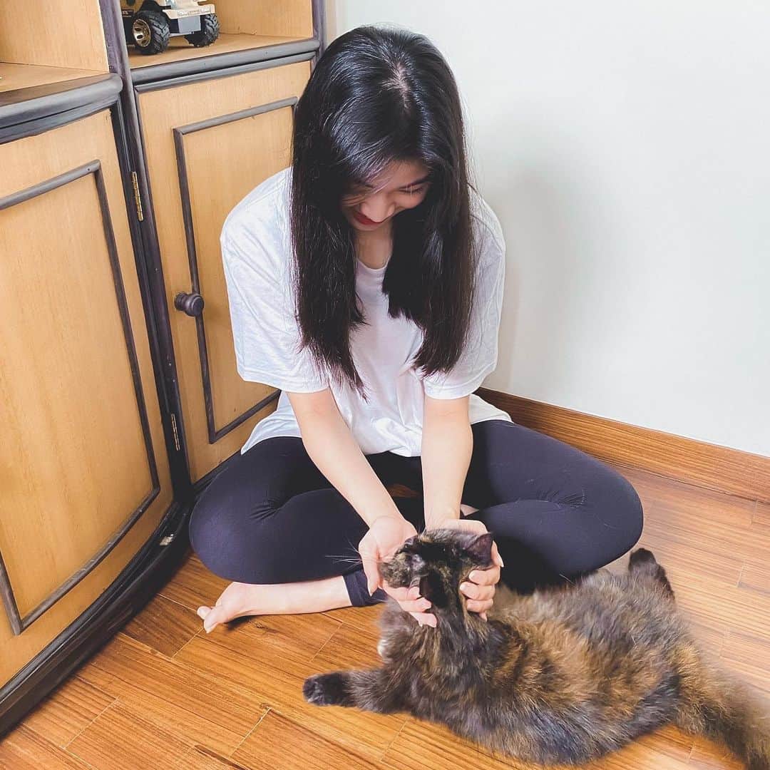 シャニ・インディラ・ナティオのインスタグラム：「suka kucing punya kucing tapi alergi kucing」