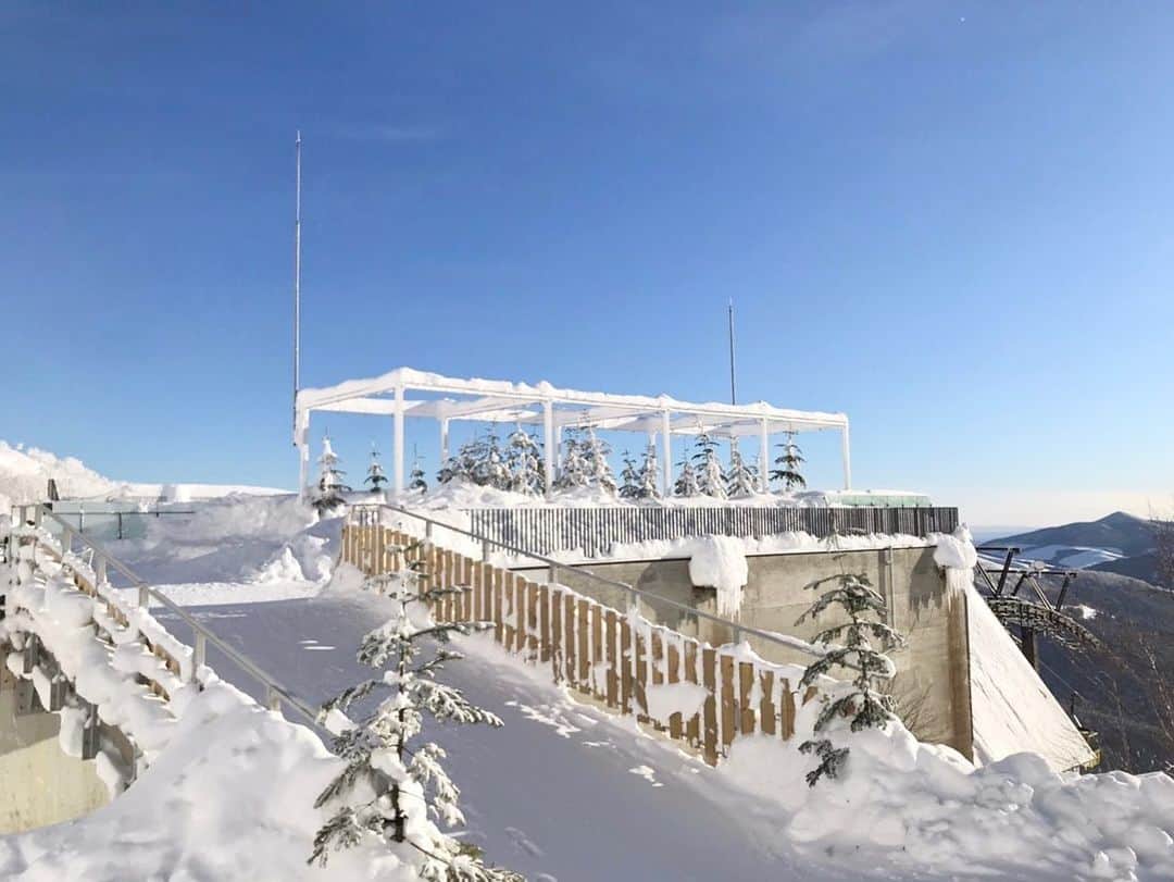 星野リゾート　トマムさんのインスタグラム写真 - (星野リゾート　トマムInstagram)「Hoshino Resorts TOMAMU  Terrace of Frost Tree  標高1,088mに位置する霧氷テラス。今シーズン12月の霧氷発生確率は96.8%。ほぼ毎日、木々が白く輝く霧氷の絶景を楽しむことができました。  #HoshinoResorts #星野リゾート #tomamu #hoshinoresortstomamu #星野リゾートトマム #トマム #risonaretomamu #リゾナーレトマム #risonare #リゾナーレ #北海道旅行 #星野集團 #Hokkaidotrip #霧氷テラス　#terraceoffrosttree」1月3日 18時29分 - hoshinoresorts_tomamu