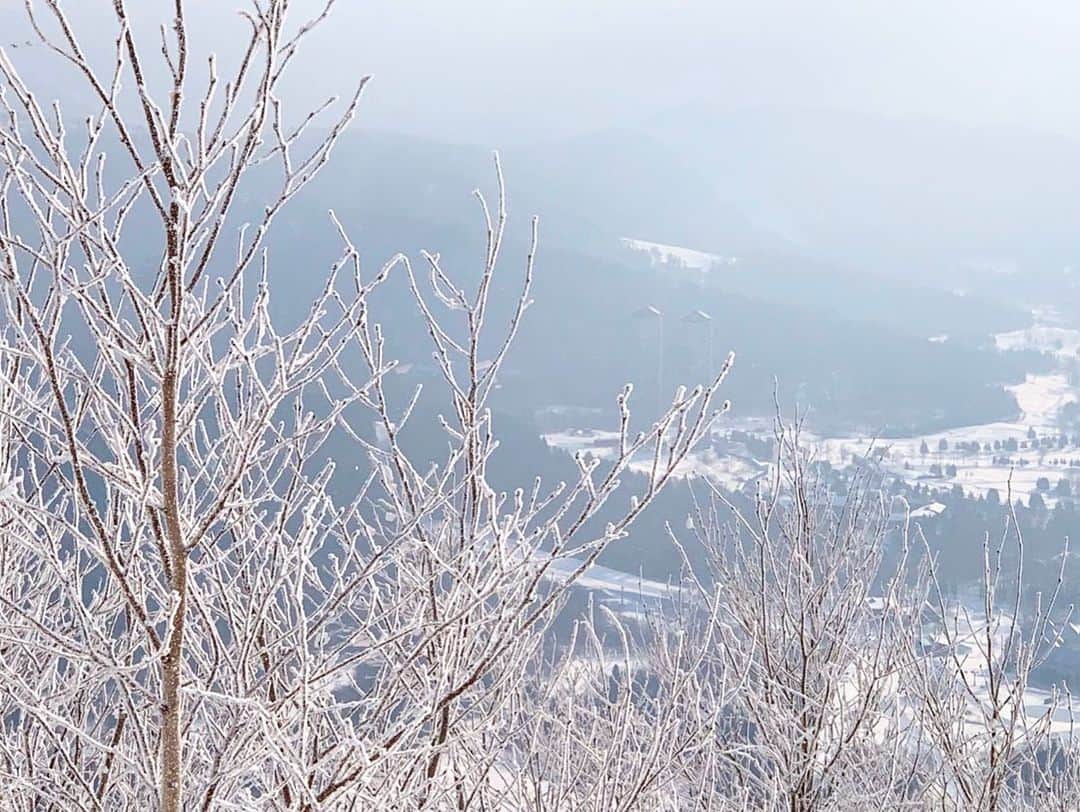 星野リゾート　トマムさんのインスタグラム写真 - (星野リゾート　トマムInstagram)「Hoshino Resorts TOMAMU  Terrace of Frost Tree  標高1,088mに位置する霧氷テラス。今シーズン12月の霧氷発生確率は96.8%。ほぼ毎日、木々が白く輝く霧氷の絶景を楽しむことができました。  #HoshinoResorts #星野リゾート #tomamu #hoshinoresortstomamu #星野リゾートトマム #トマム #risonaretomamu #リゾナーレトマム #risonare #リゾナーレ #北海道旅行 #星野集團 #Hokkaidotrip #霧氷テラス　#terraceoffrosttree」1月3日 18時29分 - hoshinoresorts_tomamu