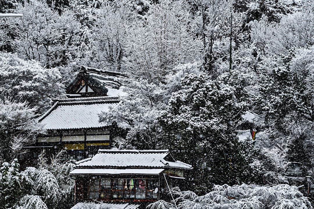 中野猛さんのインスタグラム写真 - (中野猛Instagram)「改めて新年明けましておめでとうございます⛩ 2020年はコロナ禍の中で全世界が大変だった 。 人間の本当の値打ちは、困難な問題が起こった時、どう対処するかに現れる。 人間の深浅は、時間の経過でわかる。 人間の心は、時と場合で移り変わりやすいものである。 しかし人間の魂は、不動のものである。  「不可能」の反対は「可能」じゃ無い！ 「挑戦」だ。  #GEMCEREY #ジェムケリー　#Bijoude #VARTIX #DICHA #light_nikon #nikonz6 #Nikon #写真好きと繋がりたい #ファインダーは私のキャンバス　#カメラ男子 #ダレカニミセタイケシキ　 #デジタルでフィルムを再現したい #デジタルカメラ」1月3日 17時09分 - takeshi__nakano