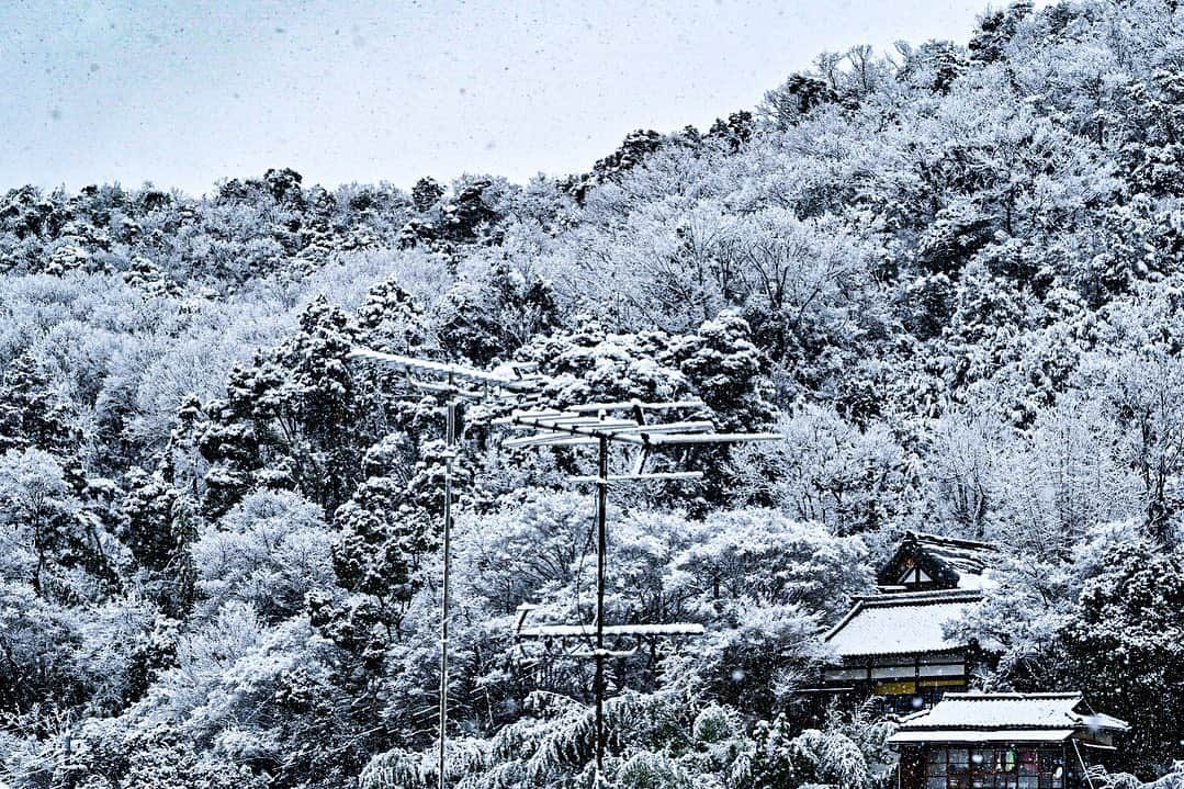 中野猛さんのインスタグラム写真 - (中野猛Instagram)「改めて新年明けましておめでとうございます⛩ 2020年はコロナ禍の中で全世界が大変だった 。 人間の本当の値打ちは、困難な問題が起こった時、どう対処するかに現れる。 人間の深浅は、時間の経過でわかる。 人間の心は、時と場合で移り変わりやすいものである。 しかし人間の魂は、不動のものである。  「不可能」の反対は「可能」じゃ無い！ 「挑戦」だ。  #GEMCEREY #ジェムケリー　#Bijoude #VARTIX #DICHA #light_nikon #nikonz6 #Nikon #写真好きと繋がりたい #ファインダーは私のキャンバス　#カメラ男子 #ダレカニミセタイケシキ　 #デジタルでフィルムを再現したい #デジタルカメラ」1月3日 17時09分 - takeshi__nakano