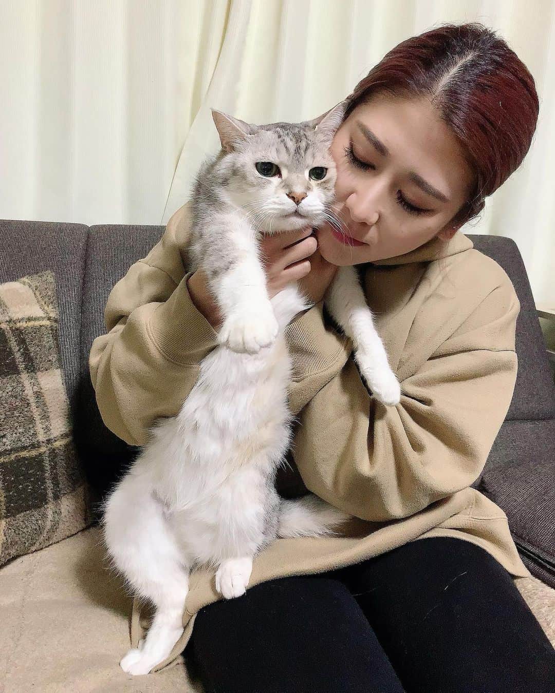 Kumiのインスタグラム：「. ねぇ、 こんなに不機嫌な事ある？？🤣 . 頑として無表情だし、 絶対カメラ向いてくれない。 . . . #愛猫　#猫　#お正月　#家族団欒　#龍ノ助」