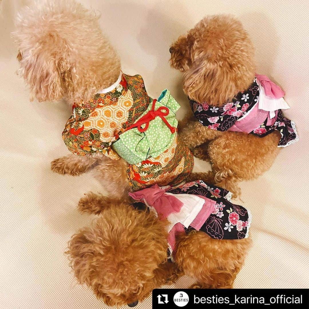 香里奈さんのインスタグラム写真 - (香里奈Instagram)「I wish this brand "BESTIES" will be able to the best partner of you guys from this year !!  #Repost from @besties_karina_official    ↓↓  ・・・ 🎍 Happy  New Year !!🎍  🐮2021🐮  Hope "2021"will be happy and wonderful year for you, your family and your besties🐶✨  あけましておめでとうございます！ 香里奈です！ この度、pet goodsブランド、BESTIESを2020年12月25日に立ち上げました。 2019年のクリスマスに亡くなった愛犬、#もみじ 🍁や、今一緒にいる、はなび、れもん、みんとにたくさん気づかせてもらった事や、想い、たくさんの経験をもとに、様々な商品を皆様にお届けしていきたいと思っています。 たくさんの想いがつまったこの"BESTIES"を、これから、よろしくお願いいたします！  素敵な年になりますように！  #besties #hanabi #lemon #mint #lovefamily #toypoodle #pet #犬 #petshampoo #lavender #はなび #れもん #みんと #香里奈 #karina #2021 #20210103」1月3日 18時00分 - karina_official_221