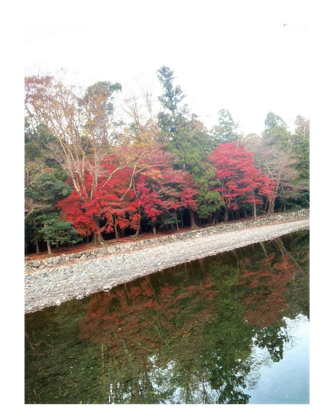 吉岡里帆さんのインスタグラム写真 - (吉岡里帆Instagram)「👟🍃🍂  #綺麗だった」1月3日 9時47分 - riho_yoshioka