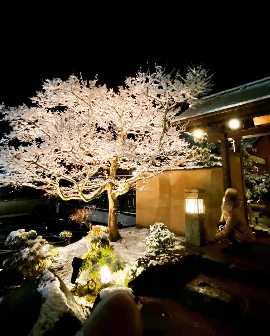 おなぎのインスタグラム：「新年明けましておめでとうございます🎍🌅 雪降る大晦日、地元へ帰省してみました 去年から自然が美しいなと感じるようになりました 齢を重ねた証拠ですかね  #おなぎを探せ#2021」