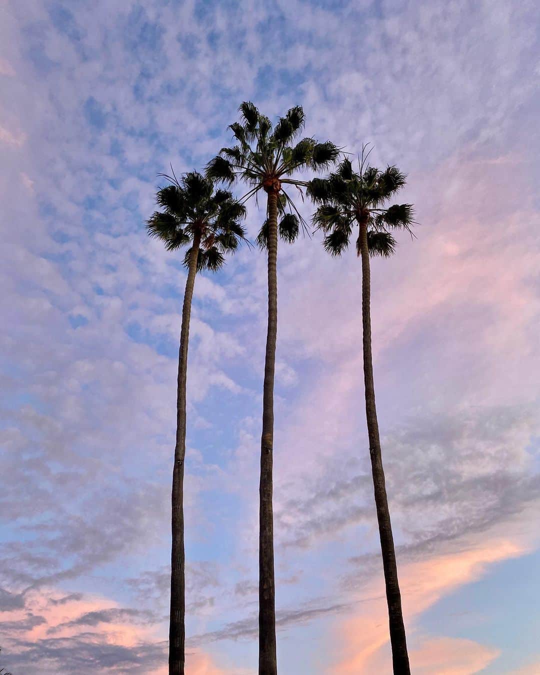 宮崎沙矢加のインスタグラム：「Keep life simple🌴The most important thing is to enjoy your life to be happy it's all that matters💗 . . #sunsetlovers #neture #palmtrees #sunset #la #okinawa #yoga #yogalife #pic #2021 #love #happiness #workout #follow #yogainstructor #california #沖縄　#ビーチ」