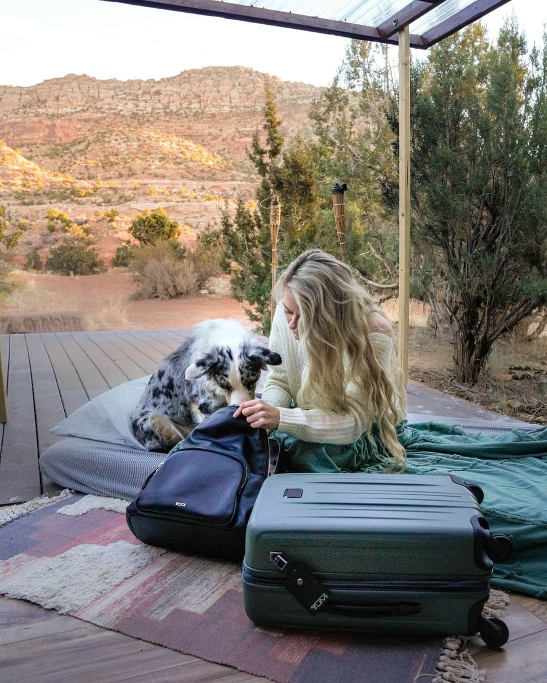 のインスタグラム：「Even four-legged friends turn to TUMI 📷:@savannah.somewhere  #PerfectingTheJourney」