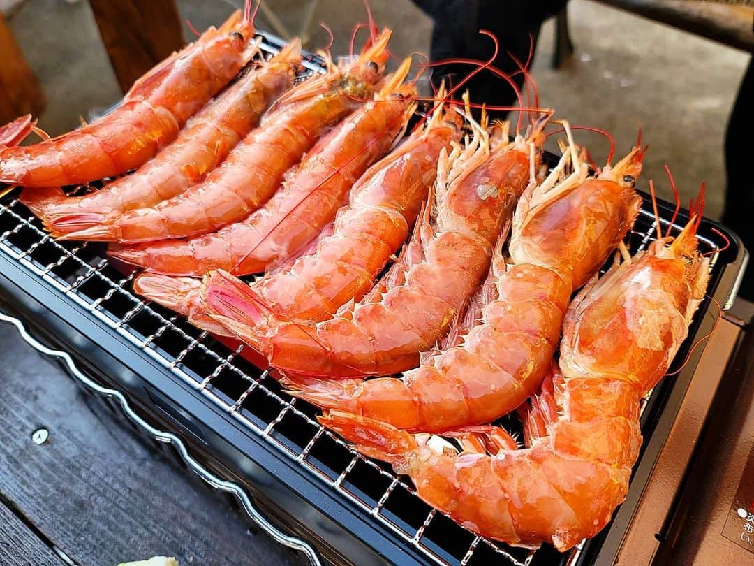 石関友梨のインスタグラム：「本日3日の夜21時〜YouTube LIVEやります！  新年のご挨拶と🌅  まだ何食べるか決まってないので リクエストあったらお願いします！  #先日のBBQ #大人BBQ」