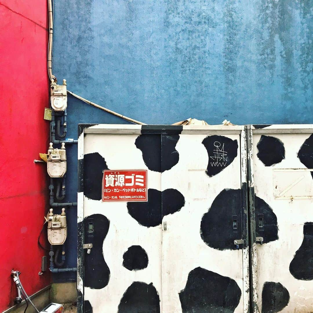 ザ壁のインスタグラム：「牛おめ🐄 #ザ壁部」