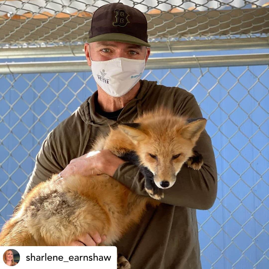 Rylaiさんのインスタグラム写真 - (RylaiInstagram)「Starting off the New Years with our amazing canid encounters!!! . . . Who doesn’t want to meet a lap wolf? 🤣😂 .  Posted @withregram • @sharlene_earnshaw Gray Wolf kisses, New Guinea Singing Dog songs, and snuggles and pets with Russian Domesticated Foxes. What a great way to start 2021! Our experience at @jabcecc is one we will never forget!.. . . . . #foxencounters #lapwolf #wolves #wolf #dogs #dogsofig #animals #animallovers #animal #dog #doglovwrs #animalencounters #sandiego #newyears #joinus #bedifferent #dodifferent」1月3日 12時32分 - jabcecc