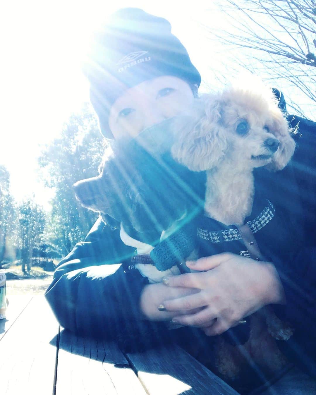 井上貴子のインスタグラム：「実家の近所の公園で^ ^  後光が差してくださってます。 感謝です^ ^  1日から反省する事があり 改めて気を引き締めております。  でもこの歳になっても 叱って下さる方がいるというのは とても有難いことです。  深謝^ ^  そして お父さんにべったりなひーちゃん。  Happyで^ ^  プロフィール画面に記載のURLより 通販サイト「神取屋」に飛べます^ ^  コロナ禍に携わる 全てのお仕事の皆様。  心から 感謝しています。  引き続き油断せず お気をつけて お過ごし下さいませ。  #井上貴子  #LLPWX #女子プロレス #紅緒と柊音 #トイプードル #叱って下さる方は貴重 #後光が差してくださったー #LLPWX通販サイト神取屋 #TikTokはじめてみた #Twitterも見てね #感謝 #STOPCOVID19」