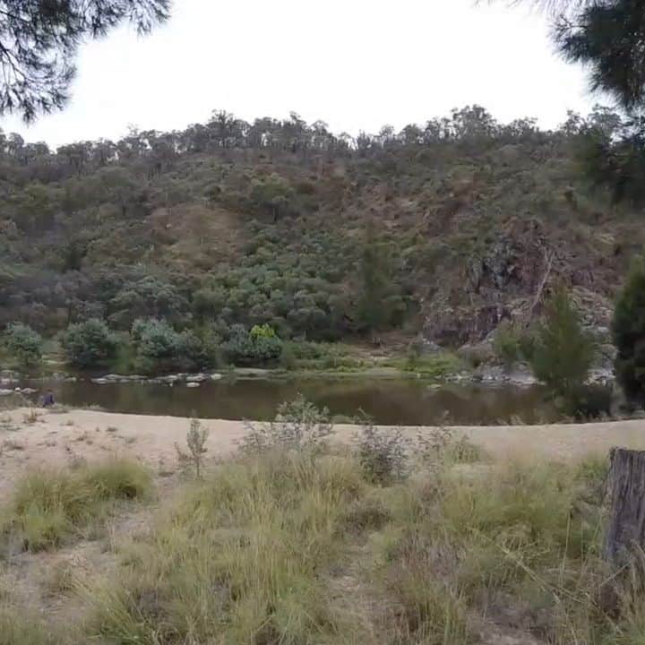 デビッド・ポーコックのインスタグラム：「Great way to start the new year on Friday morning. One of the highlights of being back in Canberra last year was Granimals on the banks of the Murrumbidgee. We often can't control what happens, but we can control how we react and what we make of it. Here's to 2021.   "And now we welcome the new year, full of things that have never been." - Rainer Maria Rilke   🎶 Bon Iver - '715 - Creeks' (live)」