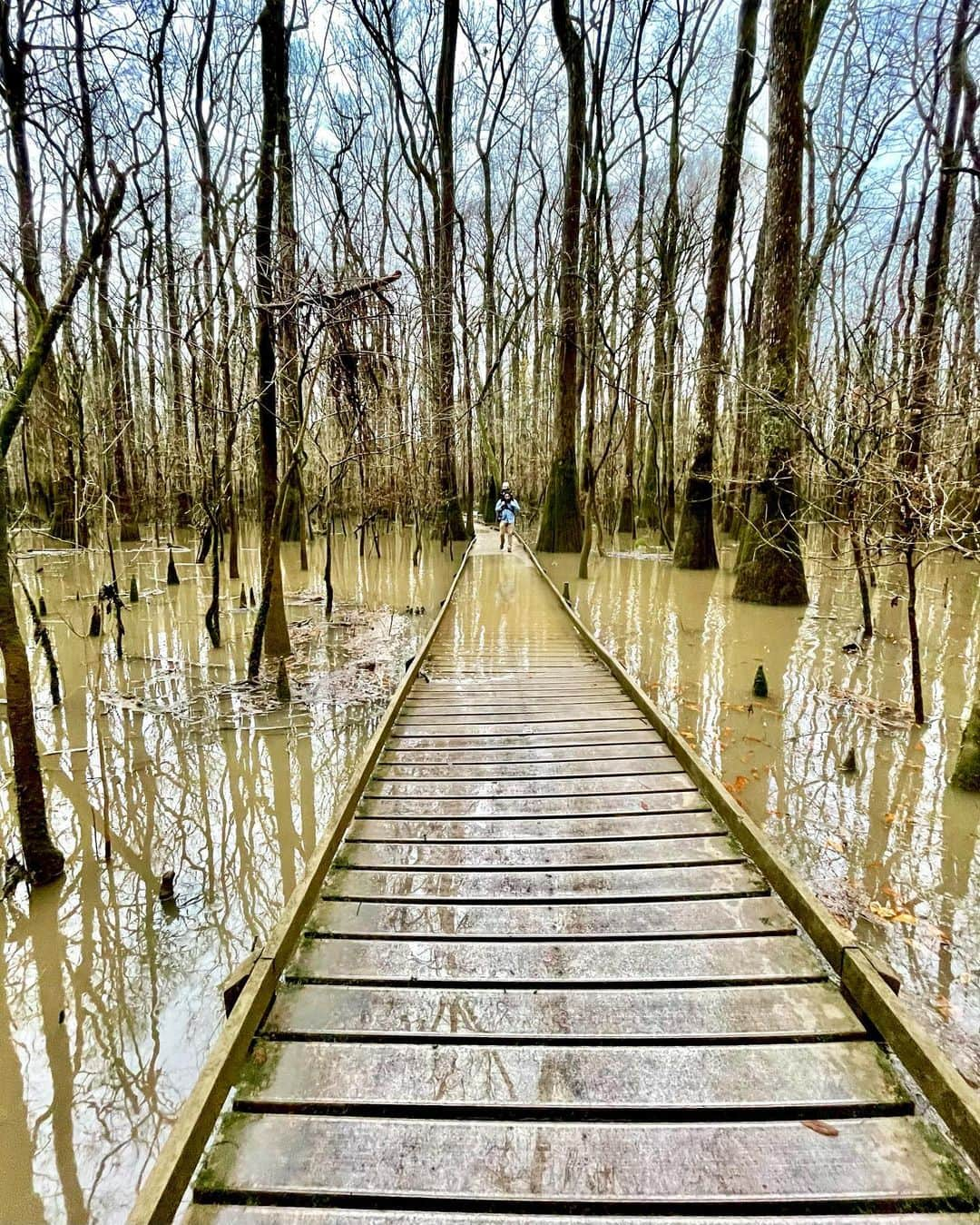 エミリー・デ・レイヴィンのインスタグラム：「We spent the day in the swap! And damn it was beautiful! Full of so many treasures big & small. Even found a new hairpiece for Vera 😂🧚🌳🍄🥰 #rvlife #lifeontheroad #swamplife #thegreatoutdoors #mumlife #momlife #kidlife」