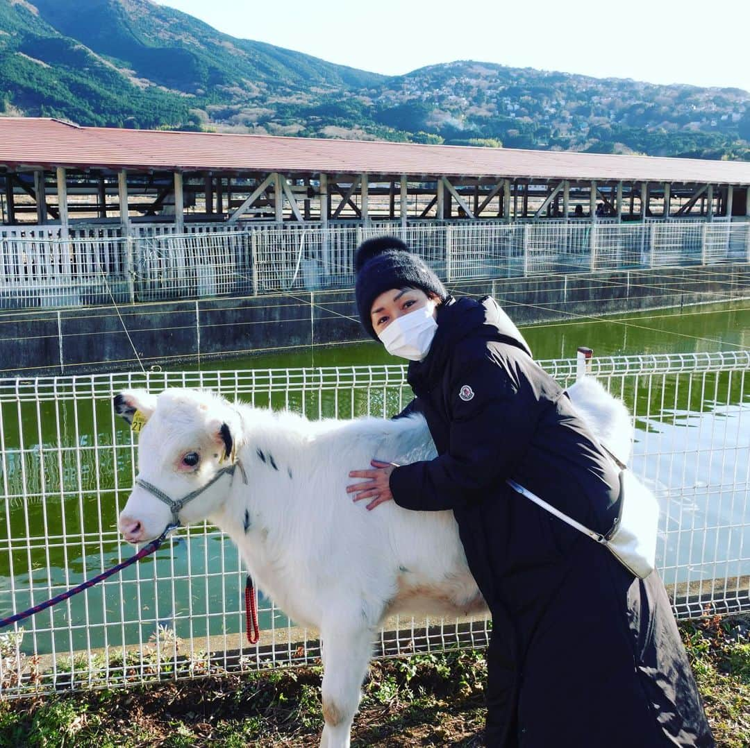 宮川美保さんのインスタグラム写真 - (宮川美保Instagram)「2021年 本年もよろしくお願いいたします  牛と写真撮れて嬉しい。」1月3日 14時13分 - miho.miyagawa