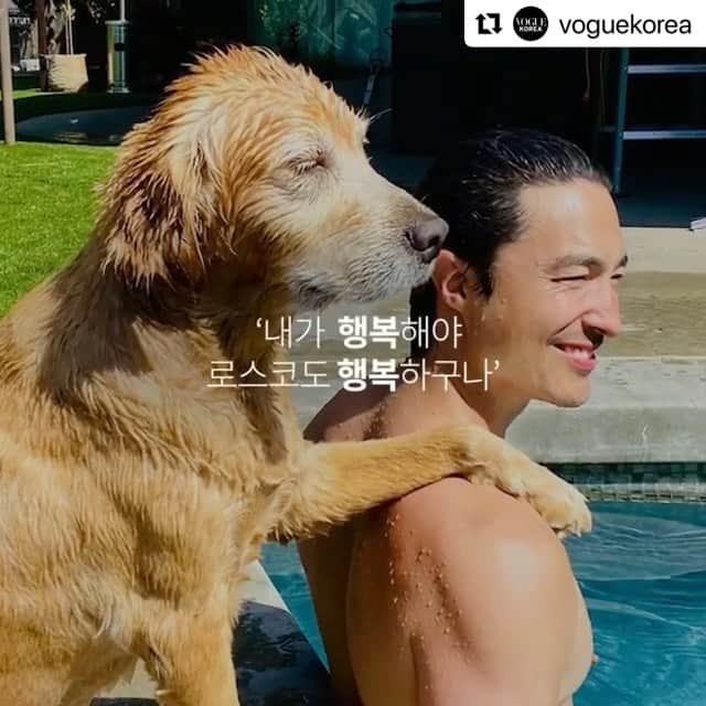 ダニエル・ヘニーのインスタグラム：「#Repost @voguekorea with @make_repost ・・・ #광고 반려인 행복 케어 브랜드 'mepet'✨ from happy me to happy pet 반려인, 당신은 더 행복해야 해요 당신의 행복없이는 반려동물의 행복도 없으니까요💛  로스코와 줄리엣 두 아이의 아빠이자 국내 최초 반려인 행복케어 브랜드 mepet의 뮤즈 다니엘 헤니가 전하는 ‘반려인의 행복’🐶✨  그 첫 번째 이야기가 궁금하다면 지금 [미펫]을 검색해보세요.  #mepet #미펫 #낼름 #NELM @mepet_official」