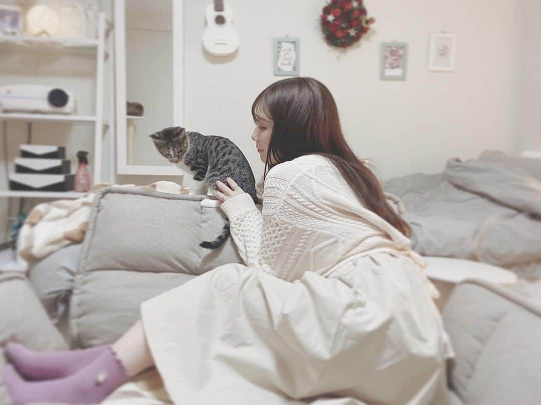 星見 蒼央＊Hoshimi aoのインスタグラム：「\ おうちじかん / 猫との時間がはっぴーです︎︎☺︎♥ ・ #猫#保護猫と暮らす  #🐈❤️ #保護猫出身  #猫との暮らし #猫との時間  #おうち時間 #おうち時間を楽しもう」