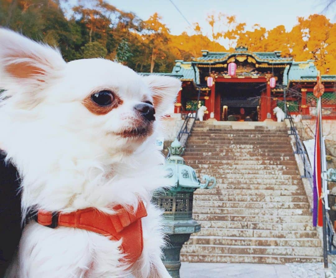 桜木ひなのグルメインスタ