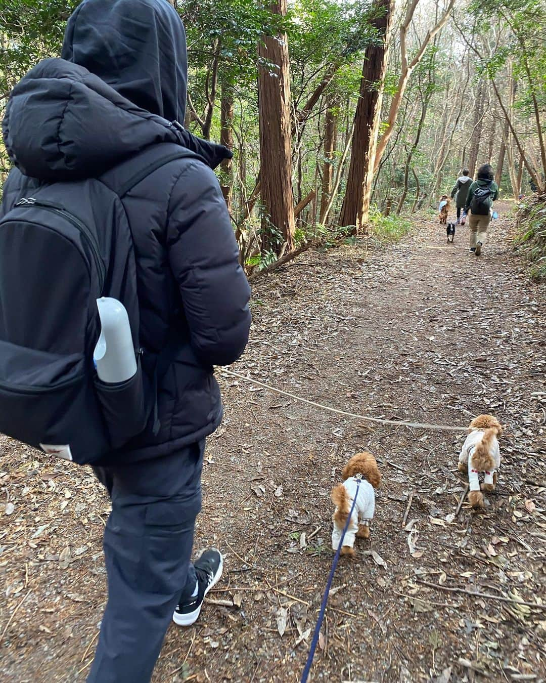 前寛之さんのインスタグラム写真 - (前寛之Instagram)「新年あけましておめでとうございます🎍﻿ ﻿ 今日は家族で登山⛰﻿ ちょっとした山だったけど結構きついんですね😅﻿ ﻿ ﻿ 今年はキャンプにもチャレンジしようと思ってます😊」1月3日 15時15分 - mae.hiroyuki.16