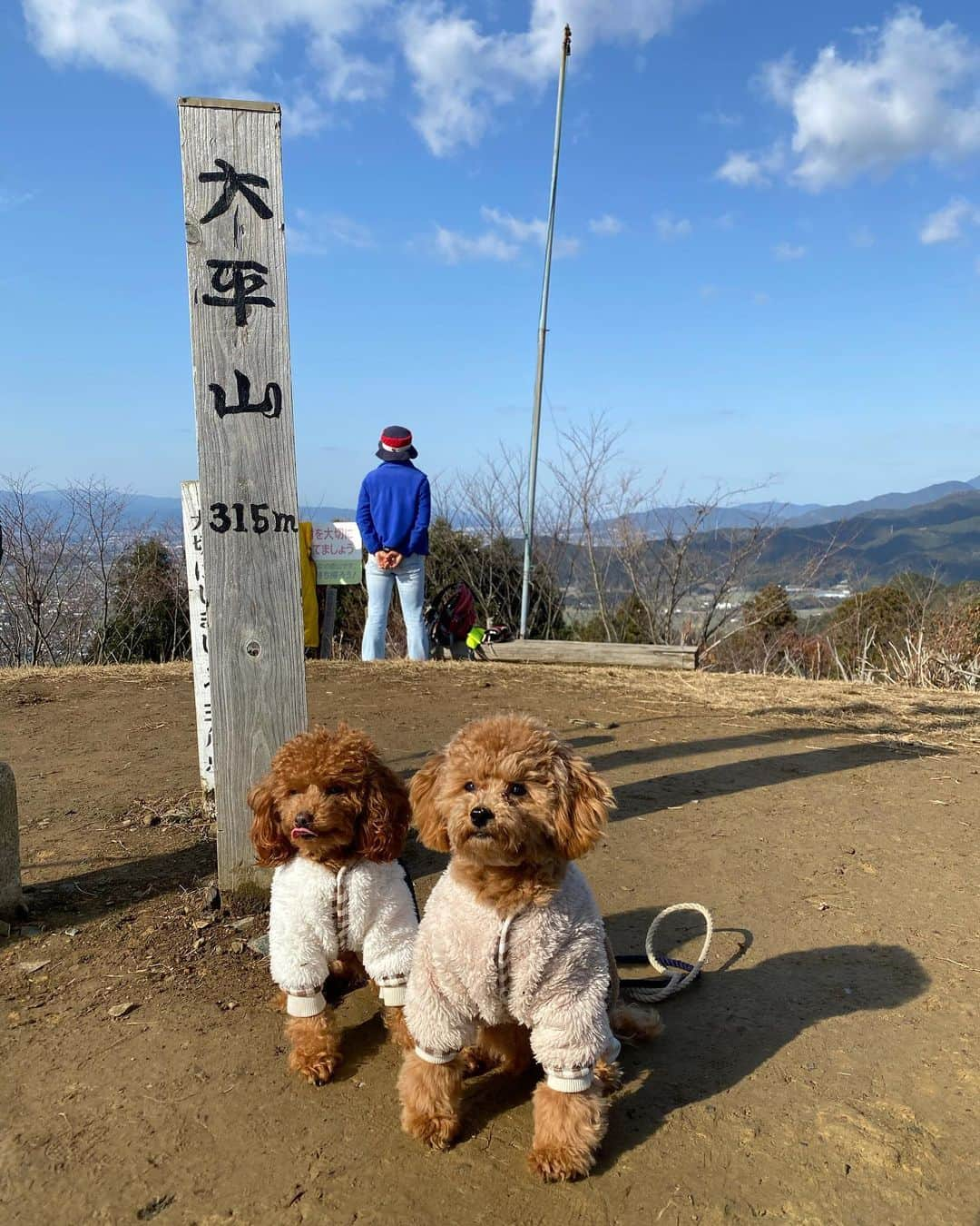 前寛之さんのインスタグラム写真 - (前寛之Instagram)「新年あけましておめでとうございます🎍﻿ ﻿ 今日は家族で登山⛰﻿ ちょっとした山だったけど結構きついんですね😅﻿ ﻿ ﻿ 今年はキャンプにもチャレンジしようと思ってます😊」1月3日 15時15分 - mae.hiroyuki.16