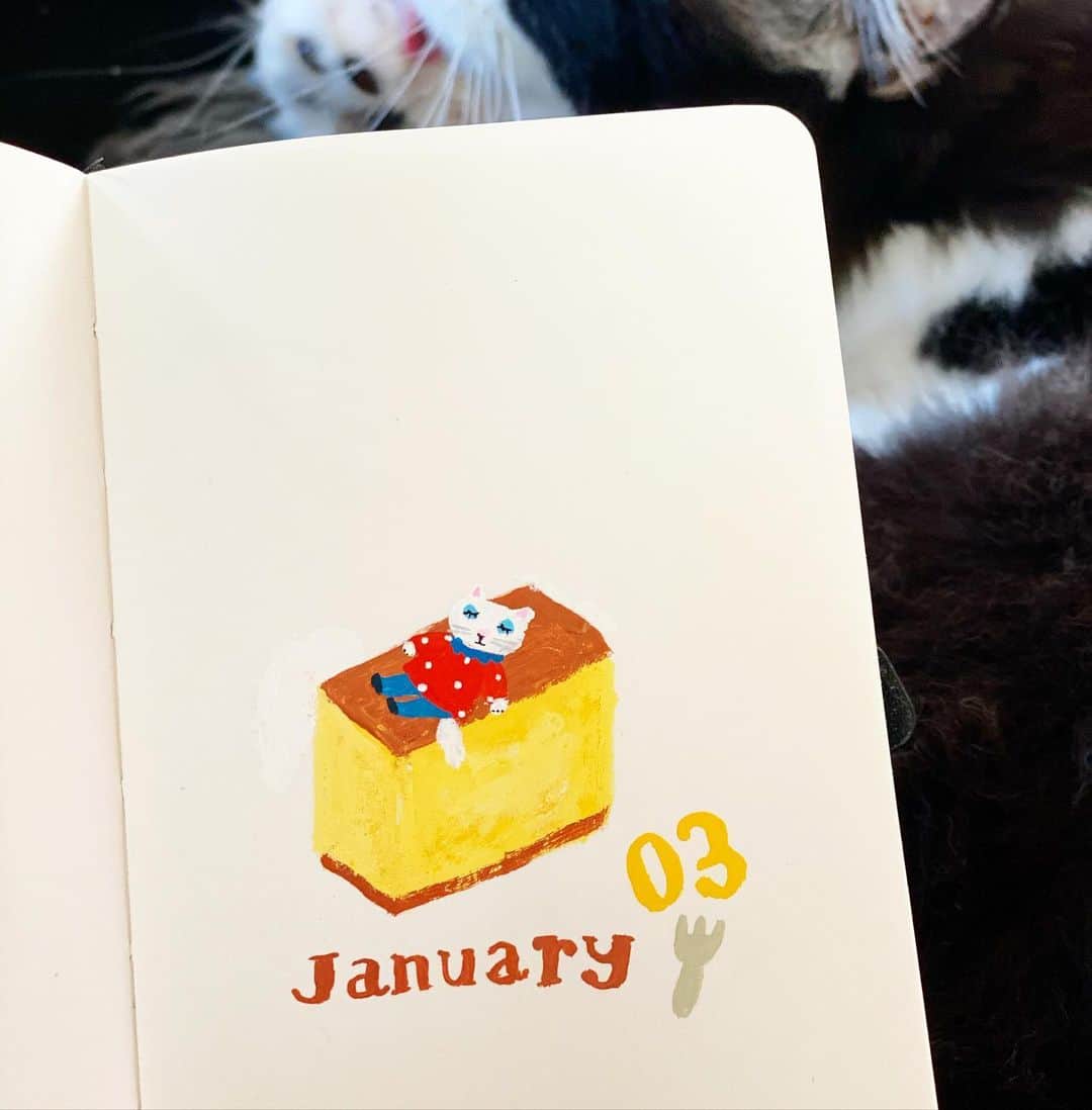北岸由美のインスタグラム：「カステラの上で昼寝  #yumikitagishicalendar_january」