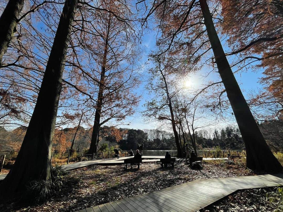 佐藤東弥さんのインスタグラム写真 - (佐藤東弥Instagram)「三宝寺池にて」1月3日 15時20分 - touyasato