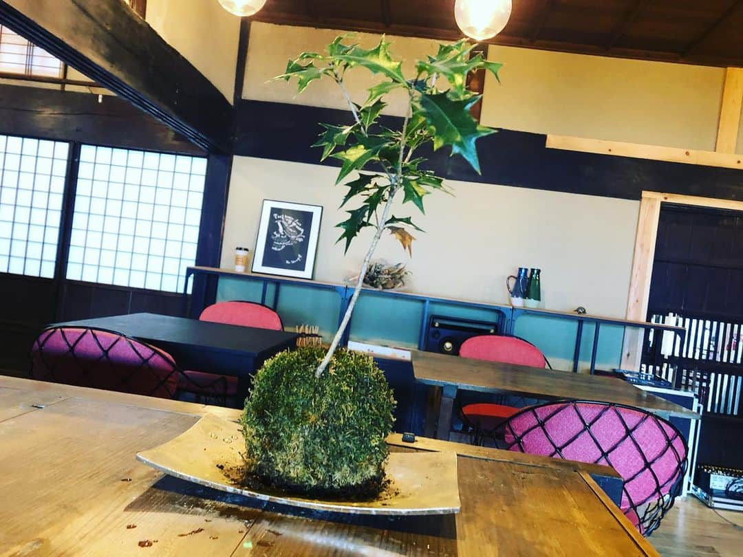 辻やすこのインスタグラム：「丹波篠山古民家カフェ「mocca」  第三弾😉🌷  本日は店内をご案内🛖  木の温もりに囲まれて ゆったりと過ごす事が出来ます！  新年営業は１月８日から！  是非古民家カフェ「mocca」  @since2020.mocca   おたのしみやす☕️🥪  #cafe  #cafestagram  #sasayama  #カフェ #古民家 #丹波篠山 #兵庫  #木のある暮らし  #木のある生活  #木 #wood #woodworking」