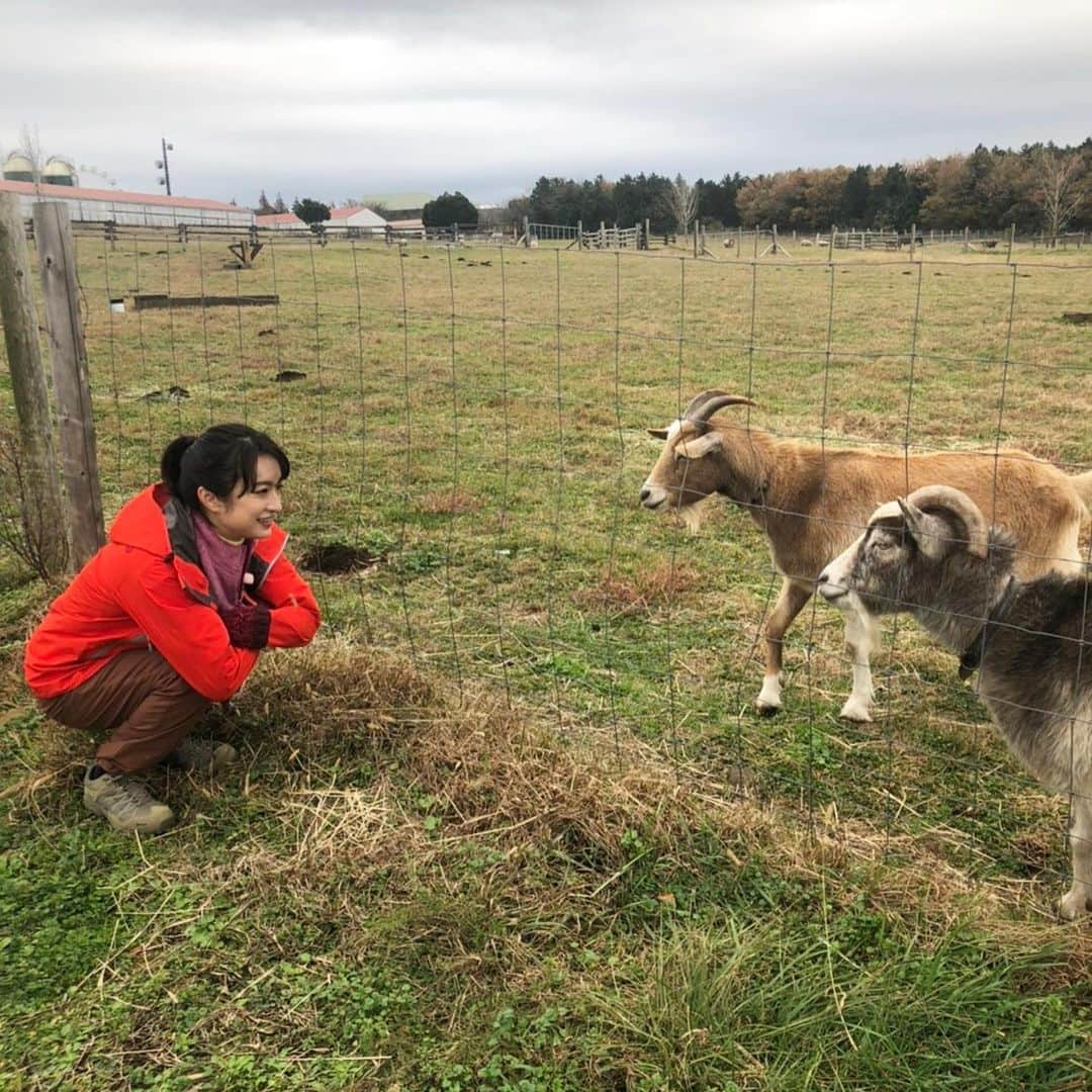 門脇麦さんのインスタグラム写真 - (門脇麦Instagram)「.﻿  あけましておめでとうございます﻿ 皆様お正月いかがお過ごしですか？﻿ わたしはおせち料理を食べながら﻿ のんびり過ごしております🎍﻿ ﻿ そして、本日1/3(日)19:20〜NHK総合 にて﻿ ダーウィンが来た！﻿ に滝藤賢一さんと出演します﻿ ﻿ 今年は丑年ということで、ウシ特集🐮﻿ 撮影楽しかった…﻿ 子供の頃からずっと見てきた番組なので﻿ 終始興奮しておりました🐮🐮﻿ 是非ご覧ください😊﻿ ﻿ 今年もさらにパワーアップできるよう﻿ 日々楽しく頑張ってまいります﻿ 皆様にとっても楽しいこと嬉しいこと﻿ たくさんある1年でありますように…✨﻿」1月3日 16時10分 - mugi_kadowaki