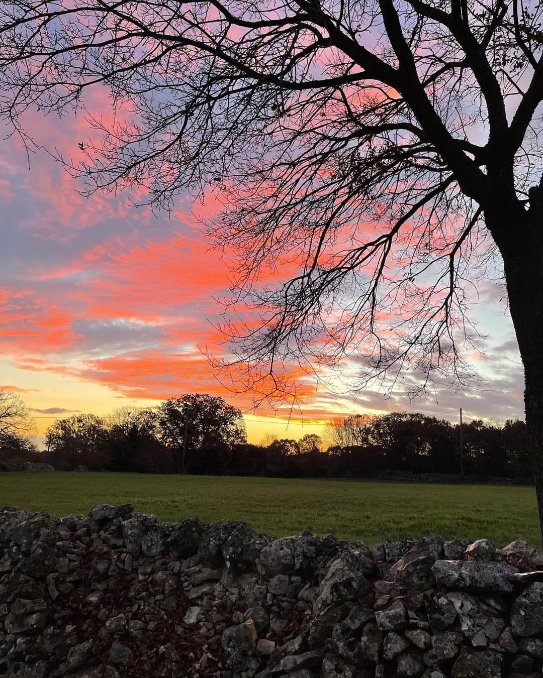 アンナ・デッロ・ルッソのインスタグラム：「The skies of January 2021 💗💗💗」