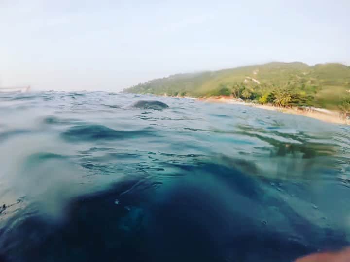 のインスタグラム：「旅行行きた過ぎて過去の動画や写真を見まくって気を紛らわせる正月  我慢、我慢、がまーん！！」