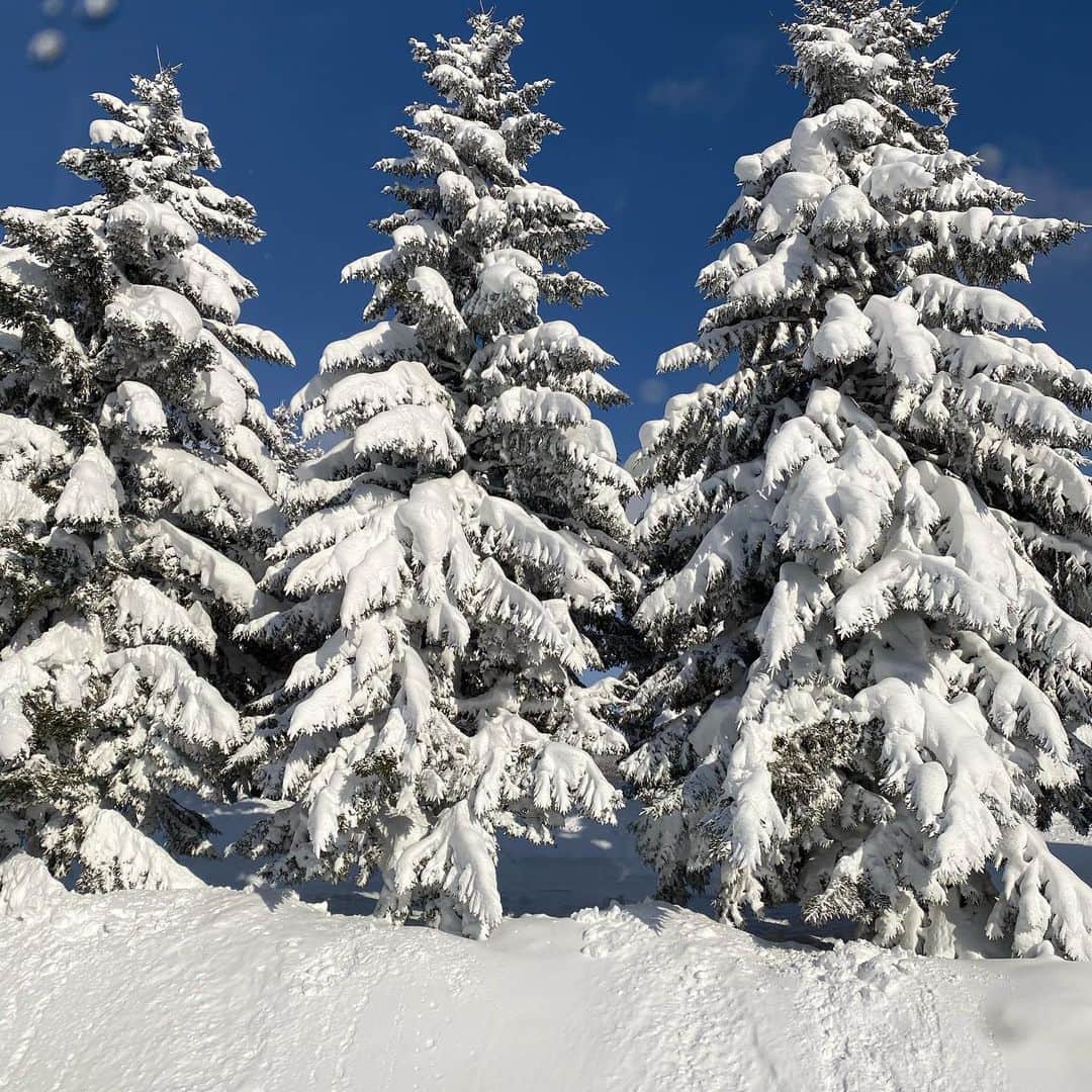 滝川その美さんのインスタグラム写真 - (滝川その美Instagram)「明けましておめでとうございます😊 年末年始はスキー場で年越ししました！ 息子はプライベートレッスンで上達し、娘は雪寒い〜と言って泣き、私はへっぽこ過ぎて夫に救助されるという😅 #ルスツ #スキー #スキー場 #パウダースノー  #雪だるまが作れないくらいふかふかの雪 #最高でした #極暖ヒートテックが大活躍」1月3日 16時41分 - iam_sonomi_official