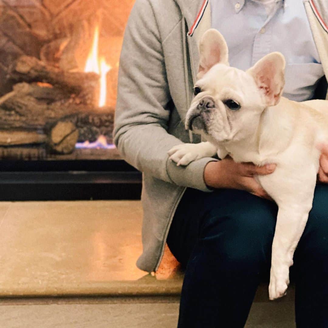 パク・ウンジのインスタグラム：「따땃하니 노곤노곤하다 🔥  이모삼촌들 새해 복 많이 받으세요 🐶 From.빵순이 @sooni_bbang」
