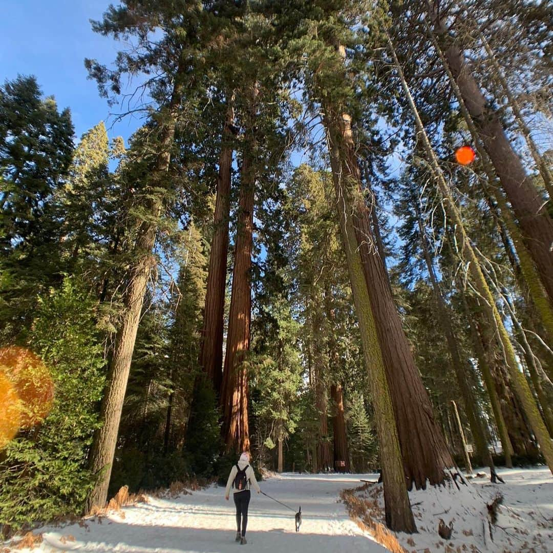 チャーリー・エックス・シー・エックスさんのインスタグラム写真 - (チャーリー・エックス・シー・エックスInstagram)「10 pics of me serving woman of the woods energy soundtracked to “the climb” by miley cyrus. 🌱」1月4日 3時06分 - charli_xcx