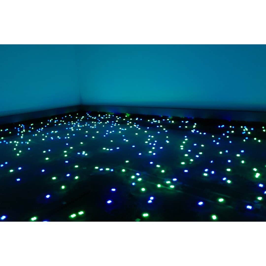 土井地恵理子さんのインスタグラム写真 - (土井地恵理子Instagram)「STARS展 現代美術のスターたち 日本から世界へ  2021アート初め。  #stars展 #森美術館 #japaneseart」1月3日 18時42分 - ericodoiji