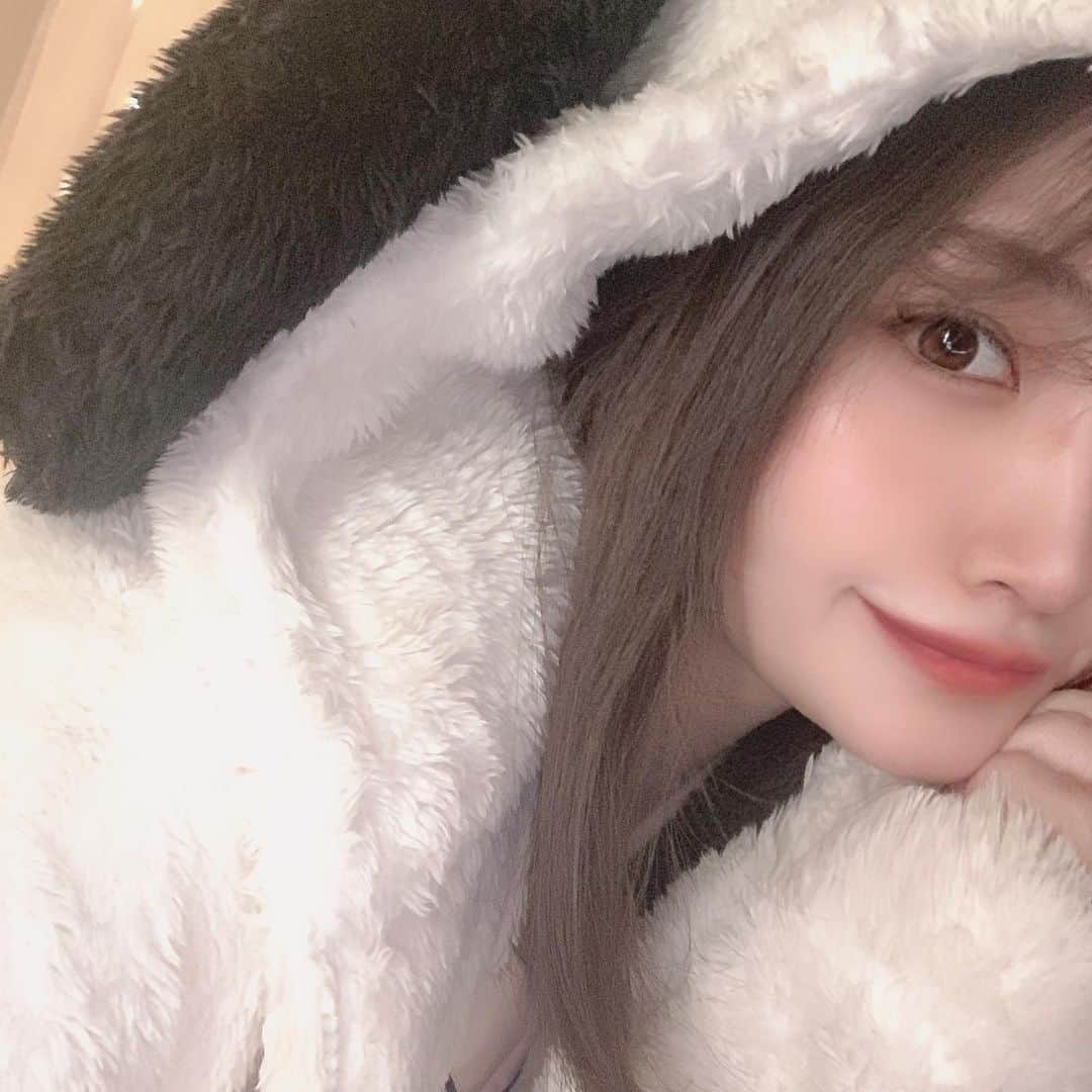餃子のりさちゃんのインスタグラム：「🐄🐄🐄🐄  スヌーピーは犬」