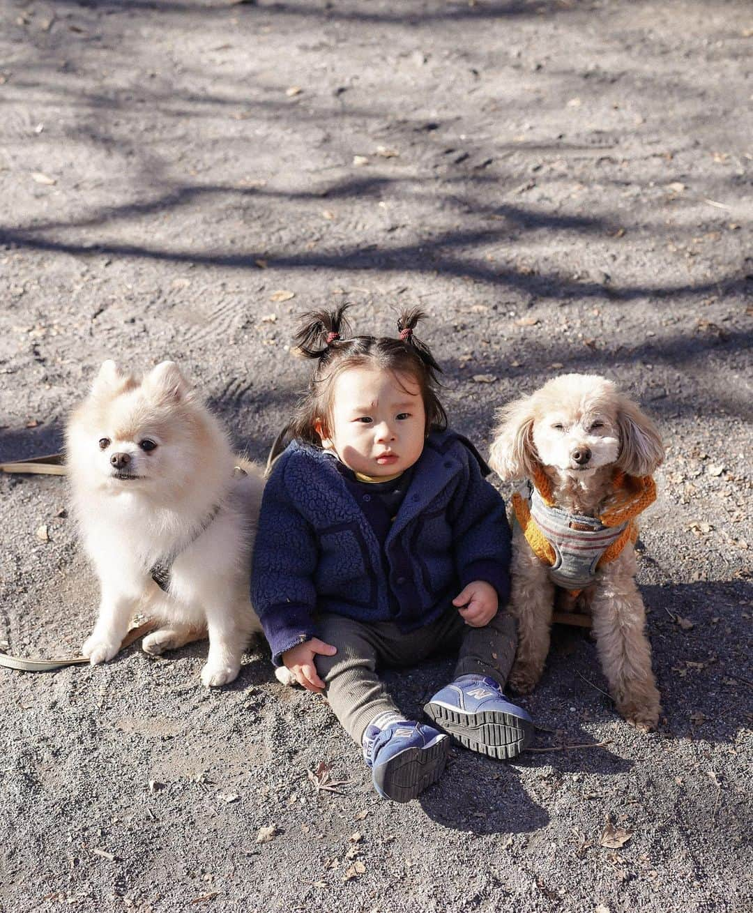 Manamiさんのインスタグラム写真 - (ManamiInstagram)「犬と過ごす年末年始幸せだった😌💓 焼き餅みたいなバニたんと、竜田揚げみたいなリアくん🐒 バニラもリアも今年12歳🥺 おばあさんとおじいさん👵🏻👴🏽だから 出来るだけ実家に会いに行こう🥺💕  #🐶🐶 #2021 #元旦」1月3日 18時52分 - manashika