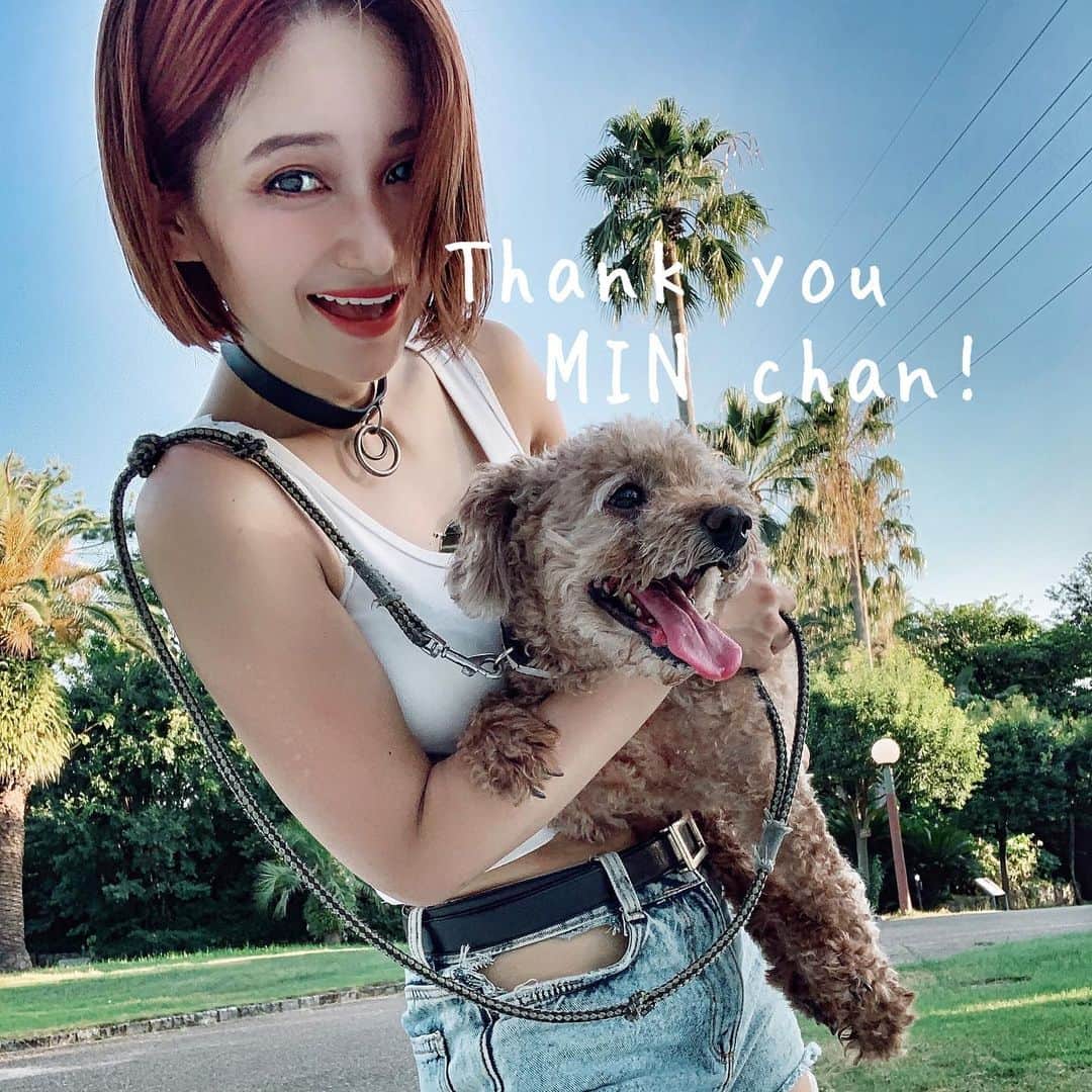 チアコマのインスタグラム：「みんちゃん12年間ありがとう！！﻿ ﻿ 元旦に手術して1月３日の夜中に寝たまんま亡くなりました。﻿ ﻿ 寝たように亡くなったのと、﻿ 甦るリアルな夢を見てしまったから﻿ 何回も心臓マッサージしたけど動かなかった😢﻿ ﻿ 黒魔術とかも少し調べてしまったけど😭笑﻿ やっぱ悲しすぎて亡くなったまま抱っこして﻿ 一緒に寝てしまった😢﻿ ﻿ チアコマ家では﻿ 小さいころから犬とか猫がいてる環境で﻿ 育ったから毎回亡くなった時は悲しかったけど、﻿ みんちゃんははじめて自分で飼い始めた犬やったから﻿ ほんまに気持ちがやっぱりすごい、、、😂﻿ 不安定になる！﻿ ﻿ でも色んなところにも一緒に行けて﻿ キャンプも3回一緒にできて、﻿ 死ぬ前にミンチャンの大好きな友達、﻿ ニノミヤ、 @zzzyuriazzz ユリア、 @watanabe_iryna_ イリーナと﻿ 会えて一緒にキャンプできて﻿ 最高にしあわせやったとおもう！！❤️﻿ ﻿ 亡くなる前、﻿ みんちゃんと一緒に寝れてよかった🥺😍❣️﻿ ﻿ みんちゃんほんまにありがとう！！﻿ また友達か、親戚か、﻿ とにかくワタシの近くに早く転生してねー♡♡﻿ ﻿ ﻿ #犬　#みんちゃん　#大好き」