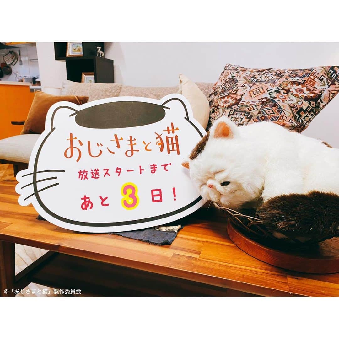 おじさまと猫さんのインスタグラム写真 - (おじさまと猫Instagram)「放送スタートまであと3日🐱❤️ ／ ドラマ #Paravi #おじさまと猫  1月6日(水)深夜0時58分〜 ＼  皆さま、お正月はいかがお過ごしでしたでしょうか🎍？  #ふくまる は夢の中ですが 放送が着々と近づいております🌟  寒さ増す近頃、水曜日の深夜に 一緒にぬくぬくお願いします🤲💕  #テレビ東京 #おじ猫  #草刈正雄 #神木隆之介 #小関裕太 #武田玲奈 #平山浩行  #高橋ひとみ #升毅 #ねてまる #猫のいる暮らし」1月3日 19時31分 - tx_ozineko