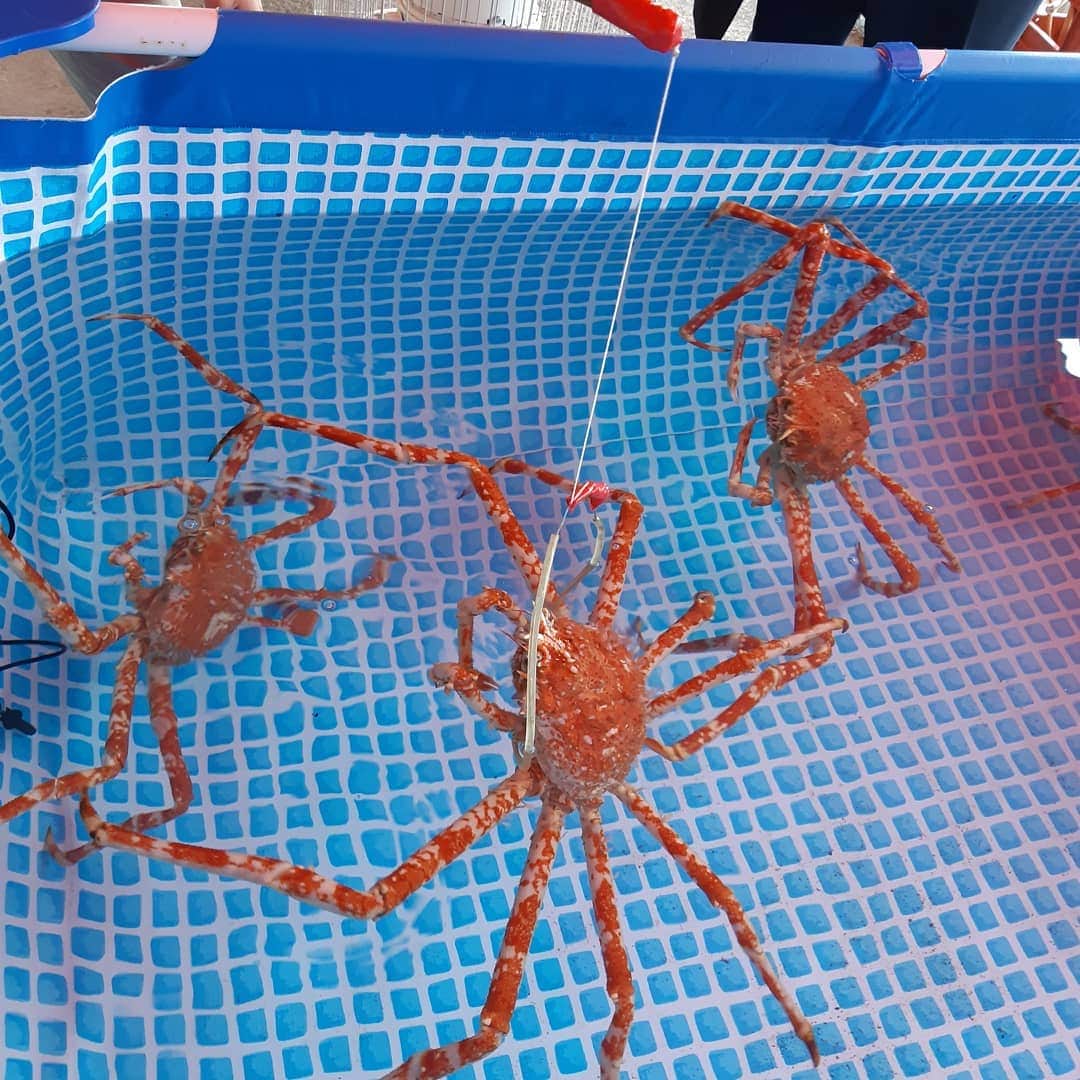 AWASHIMA HOTEL 淡島ホテルのグルメインスタ