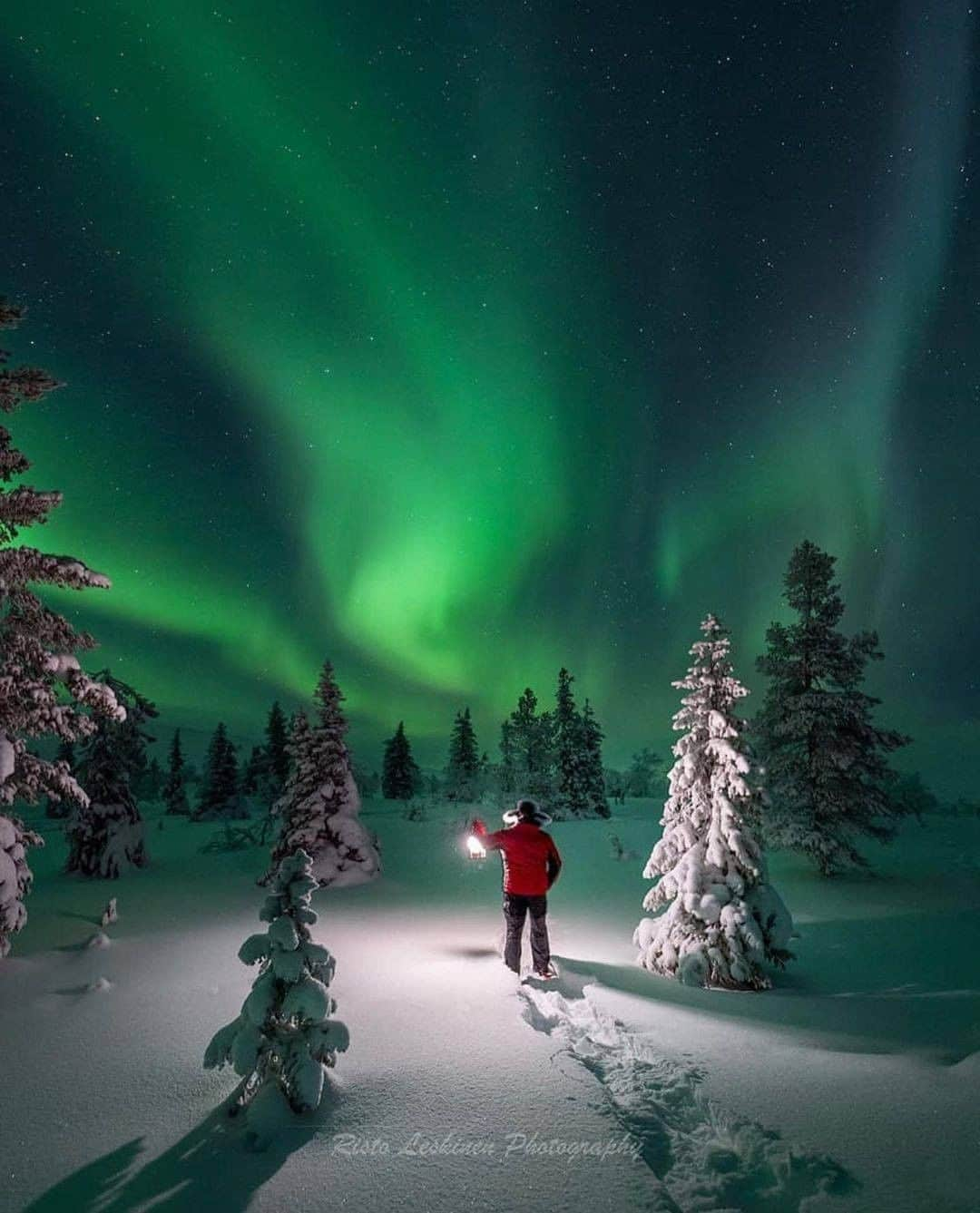 Discover Earthさんのインスタグラム写真 - (Discover EarthInstagram)「Have you ever seen the northern lights?  Lapland (in same: Sápmi - in Finnish: Lappi - in Swedish: Sameland / Lappland) is a transnational region in northern Fennoscandia, straddling the territories of Norway, Sweden, Finland and Russia, whose indigenous people are the Sami.  The Northern Lights can be seen in Finnish Lapland almost 200 nights a year, provided that the sky is sufficiently clear. The most traditional way to experience these light phenomena is to go out into nature on snowshoes, skis, snowmobiles or dogsleds.     🇫🇮 #discoverlapland with @ristoleskinen . . . .   #lapland  #lappi  #visitlapland  #visitrovaniemi  #rovaniemi  #visitfinlandjp  #ourfinland  #finland  #visitfinland  #northernlights」1月3日 19時30分 - discoverearth