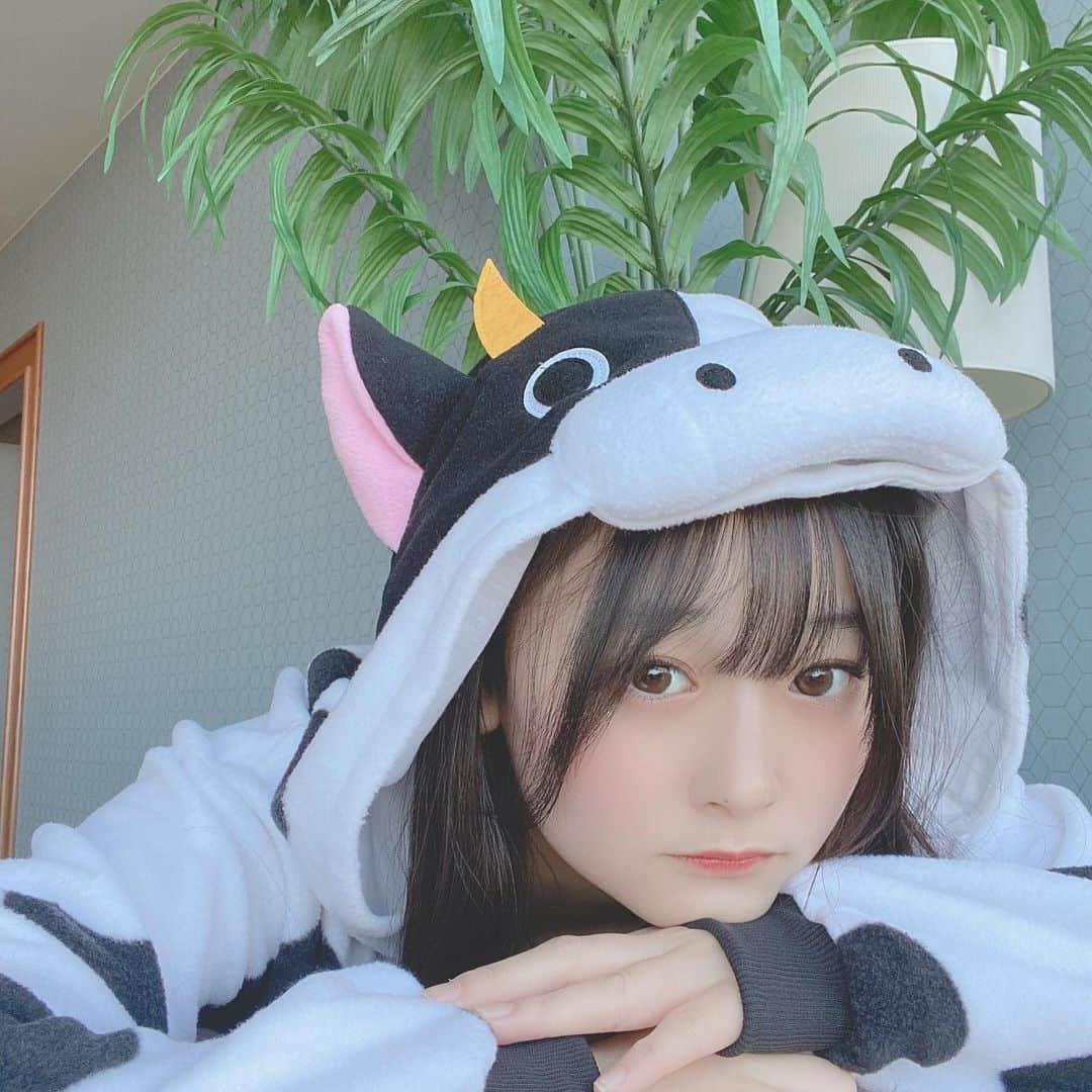 石橋颯さんのインスタグラム写真 - (石橋颯Instagram)「モウー🐮🤍  ･ ･ ･  #ootd #instagood #instalike #followme #いいね #アイドル  #丑年 #牛 #丑 #着ぐるみ」1月3日 19時32分 - ibuki__hkt48