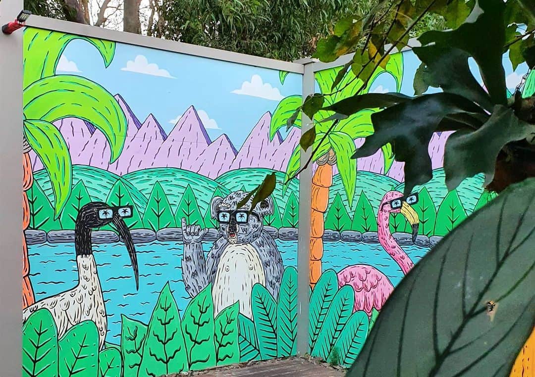 MULGAさんのインスタグラム写真 - (MULGAInstagram)「I painted Brendan and Ted on the wall of a backyard in Caringbah and this is the Posca on paper version. Which version do you like best?⁣ ⁣ The story of Brendan the Bin Chicken and Ted the Koala⁣⁣⁣ ⁣⁣⁣ Once there was a bin chicken called Brendan and his best friend was a koala called Ted and they lived in a tropical paradise with their friends. In addition to being firm friends they were also business partners and together owned and operated the business called Ted and Brendan's Fantastic Gardening Services (TBFGS). They provided great gardening services for a reasonable price and specialised in making tropical gardens but they could also make other types of gardens like flower gardens and the like.⁣⁣⁣ ⁣⁣⁣ The End⁣⁣⁣ ⁣ #mulgatheartist #ibis #binchicken #koala #koalaart #muralart #posca」1月3日 19時49分 - mulgatheartist