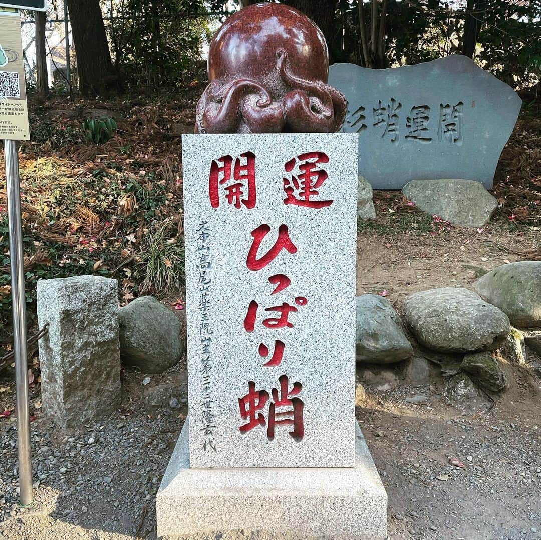 白井鉄也のインスタグラム：「新春高尾山だよ！ 楽しかったよ！ 前厄だったよ！ 結構新し目の開運引っ張り蛸があったよ！ お掃除小僧は誰からも写真撮ってもらえてなかったよ！ #高尾山 #TAKAOmountain #登山 #Climbing #開運 #goodlack #引っ張り蛸 #Pulledoctopus #開運引っ張り蛸 #お掃除 #cleaning #お掃除小僧 #小僧 #Littleboy #富士山 #FujiMountain #おばさんの写真の写り方」