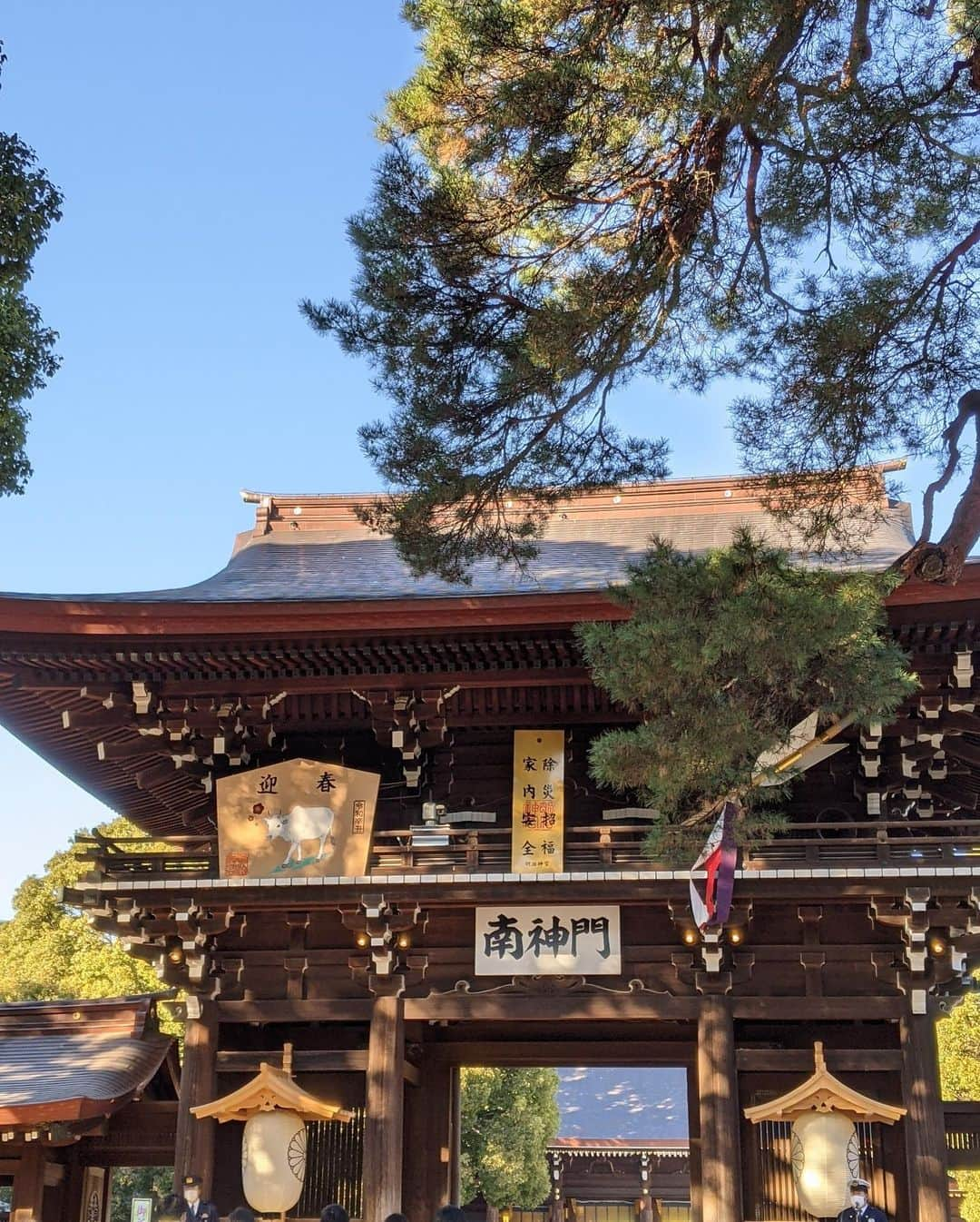 エリーローズさんのインスタグラム写真 - (エリーローズInstagram)「⛩新年明けましておめでとうございます⛩ 本年も宜しくお願い致します。  今年も益々笑顔溢れ、健康で、目標に向かってこつこつと続けてきたことを発揮し、前進して参ります。  初詣、おみくじはなんと大吉❣️ ですが甘んじず、気を引き締めてまいります。  Happy New Year!   May this year bring new happiness, new goals, new achievements, and good health. Wishing the very best to you all.   Love Elli」1月3日 19時54分 - ellirose